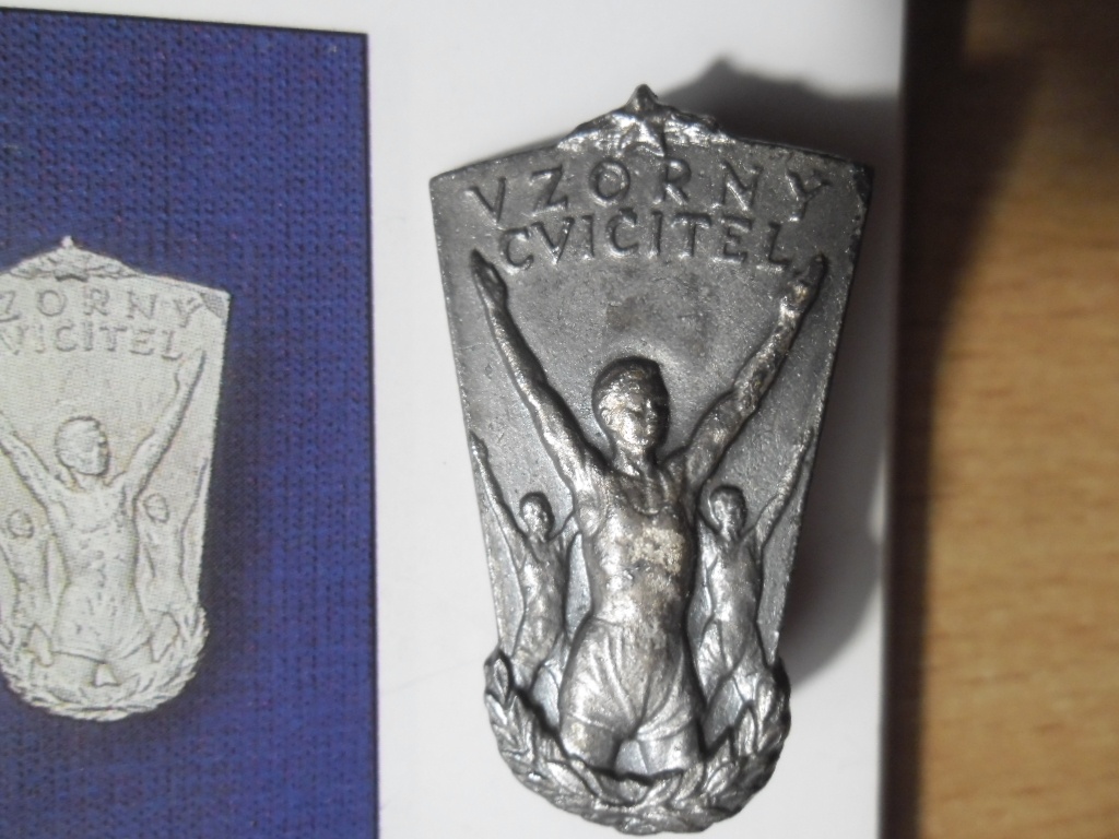 odznak - Vzorný cvičitel - číslovaný originál