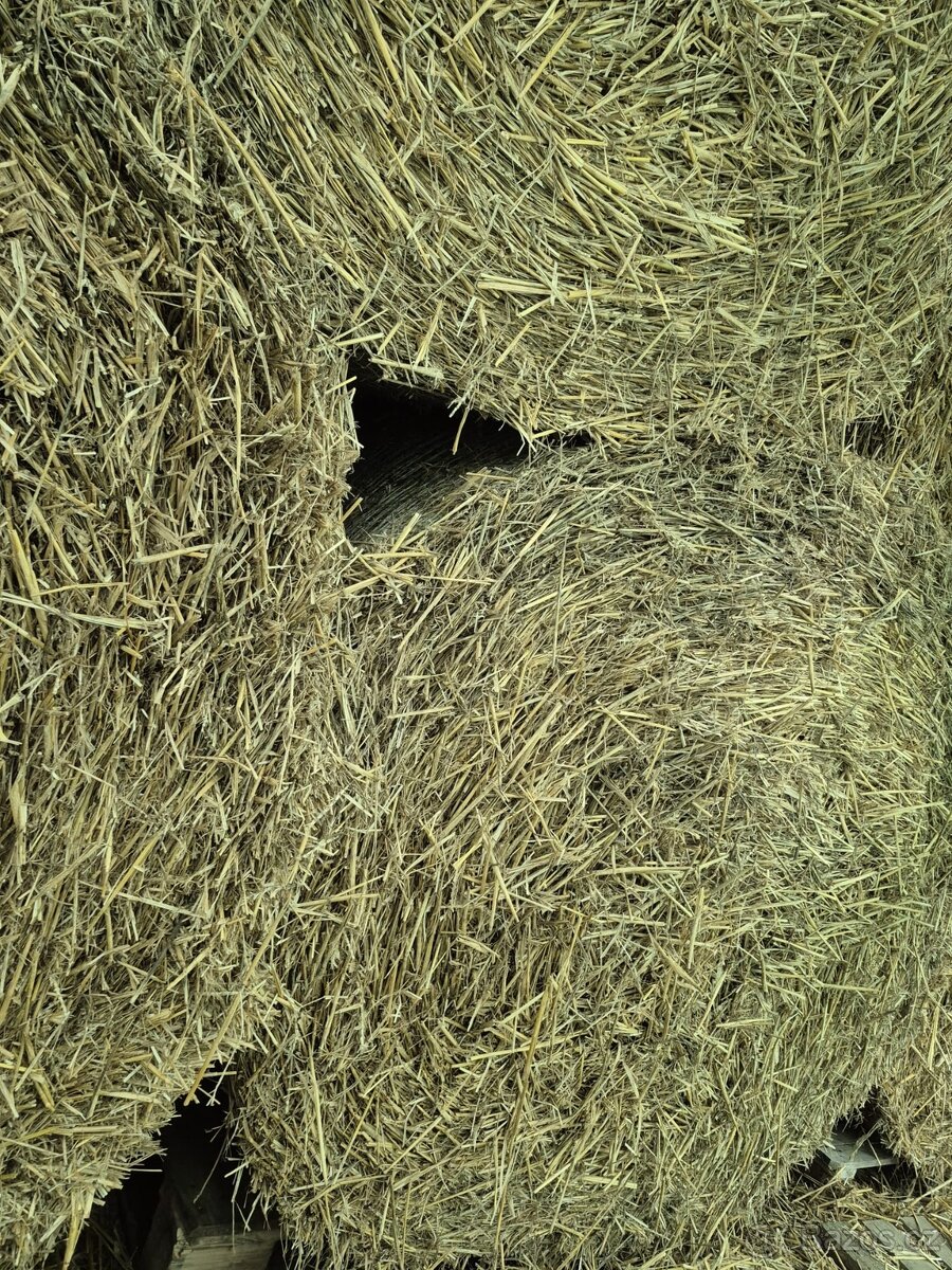 Prodám balíky slámy 140cm 34 kusů