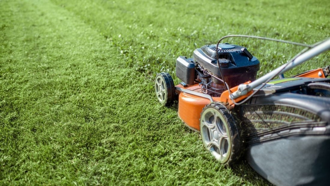 Sekání, kácení dřevin, likvidace odpadů