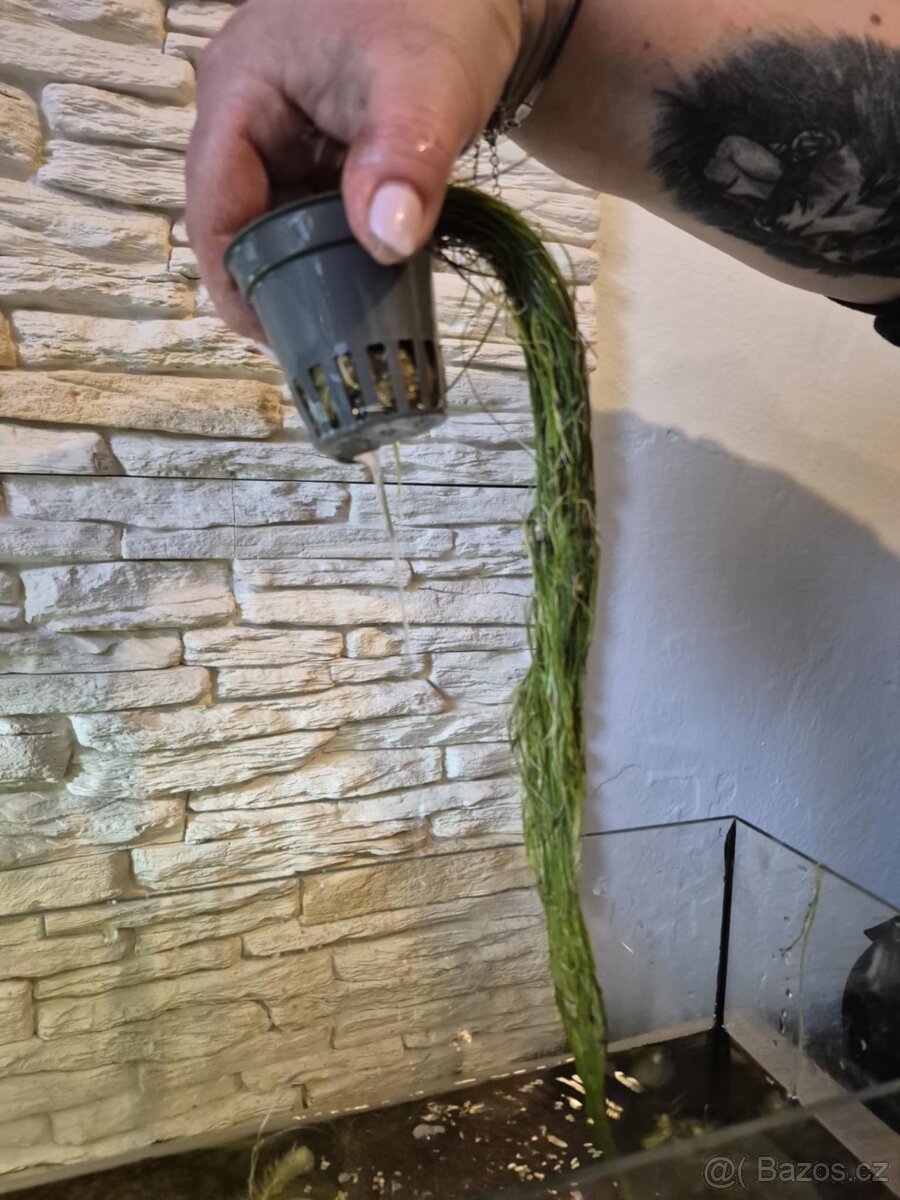 Prodám akvárko 30 li