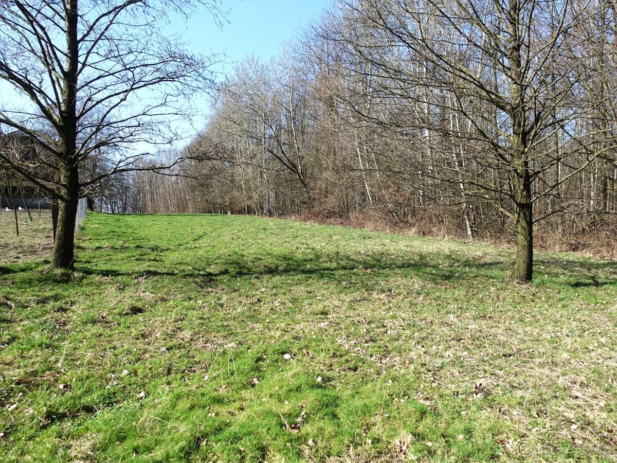 Prodej louky s kouskem lesa, 6013 m²