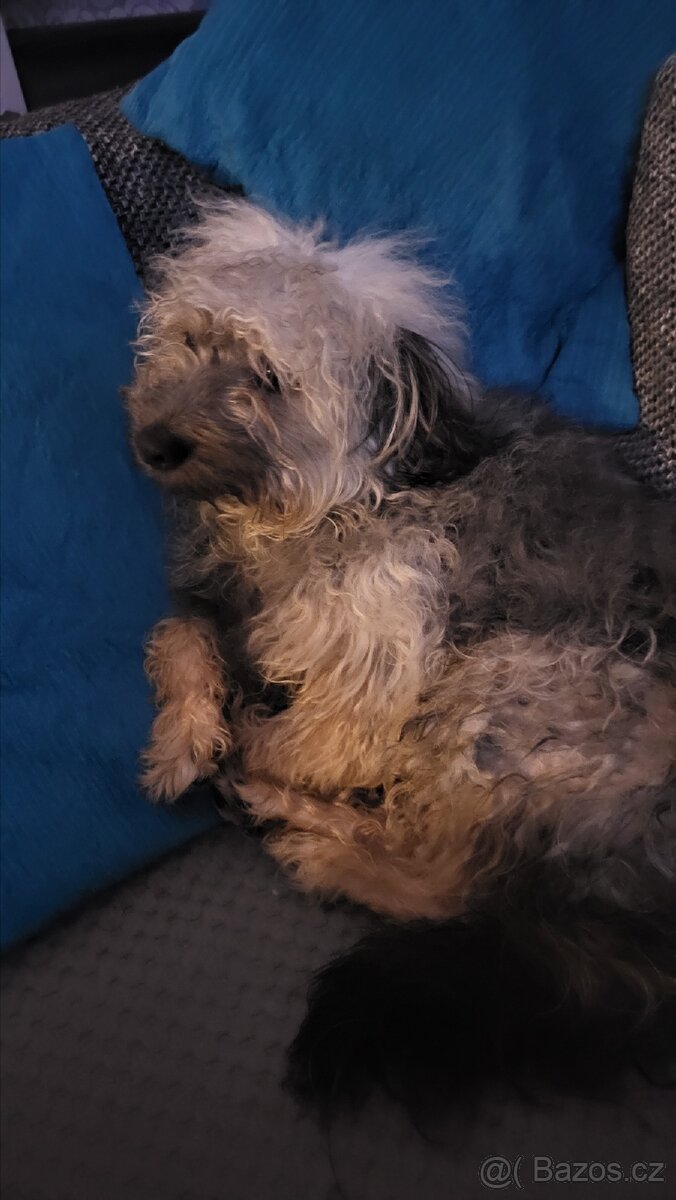 Yorkshire Stene Mix bez pp