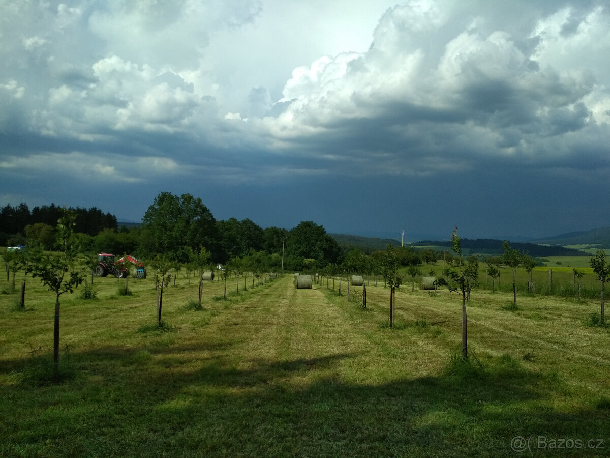 BIO seno kulaté balíky 130 cm