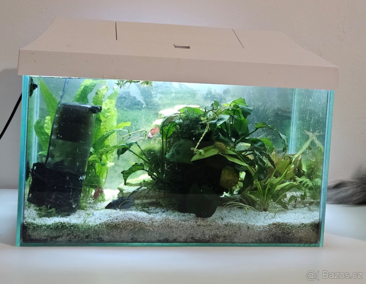 Akvárium Aquael 40x25x25