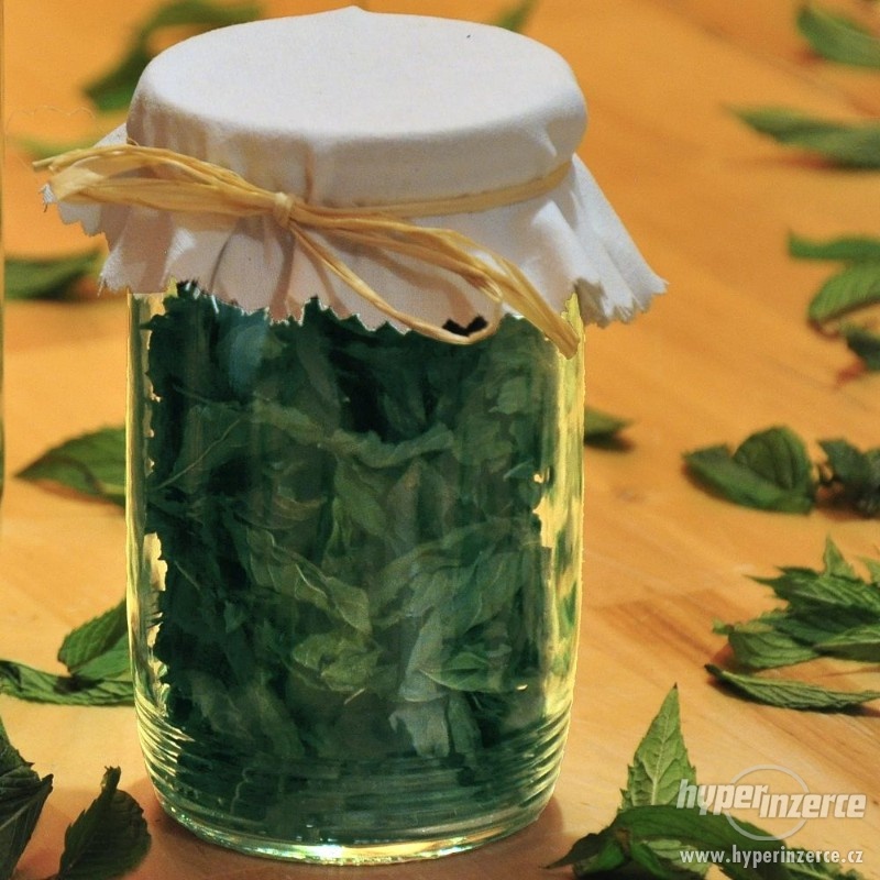 Meduňka lékařská a jiné bylinky prodám........