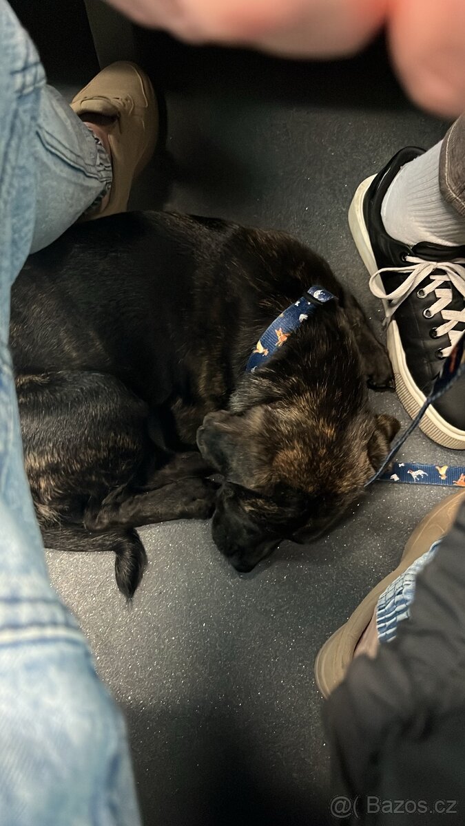 Daruji do dobrých rukou