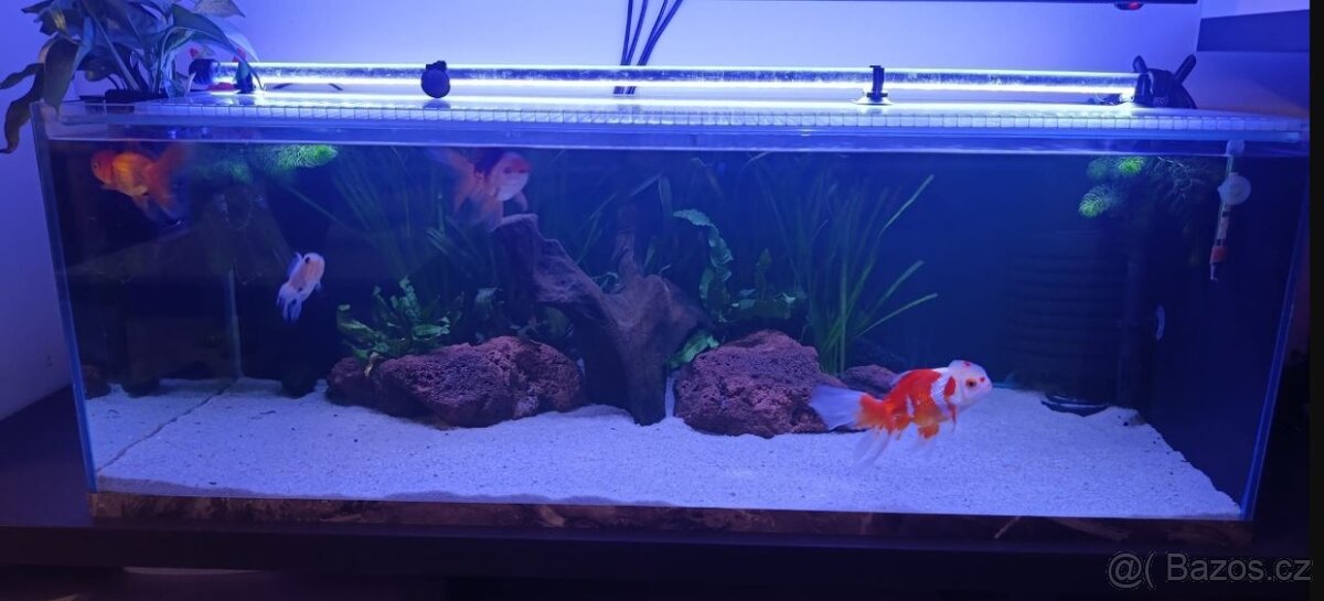 prodám Akvarium 140 L ( 100 x 40 x 35 )