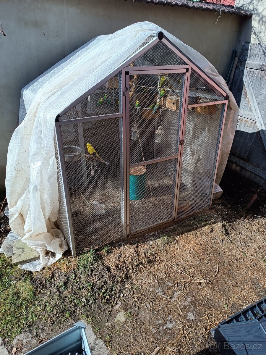 Prodám voliéru plus cca 20 ks andulek a korelu