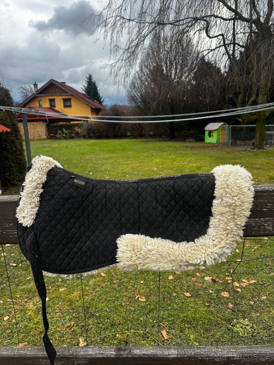 PravýBeránek Euroriding