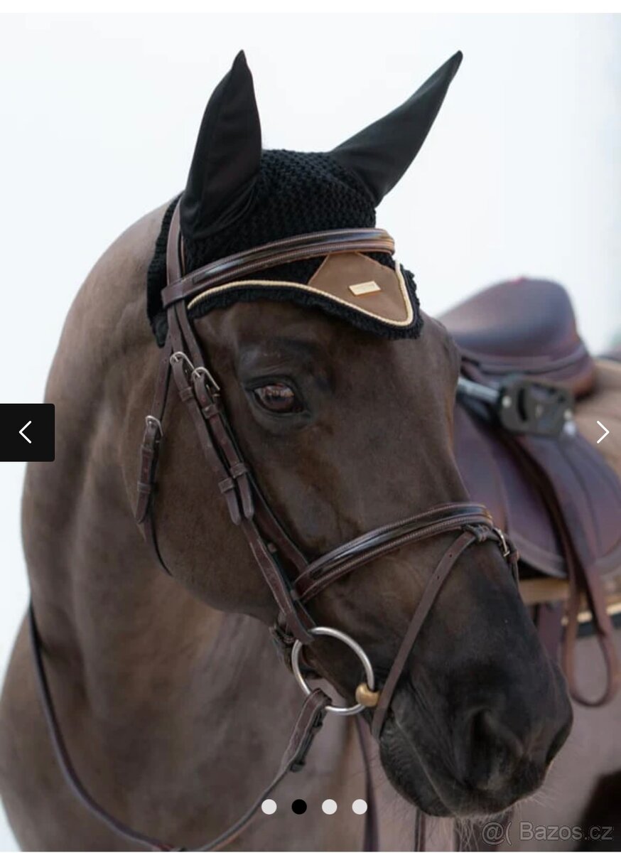 Čabraka Equestrian Stockholm