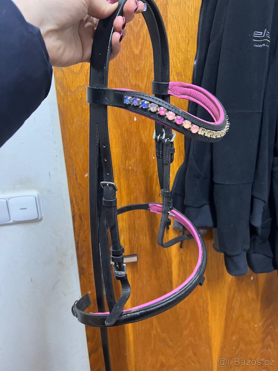 Uzdecka,otěže a udidlo