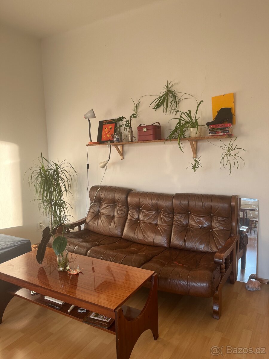 Vintage kožená pohovka