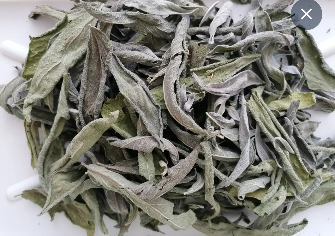 Šalvěj lékařská - sušené listy 1 Kč