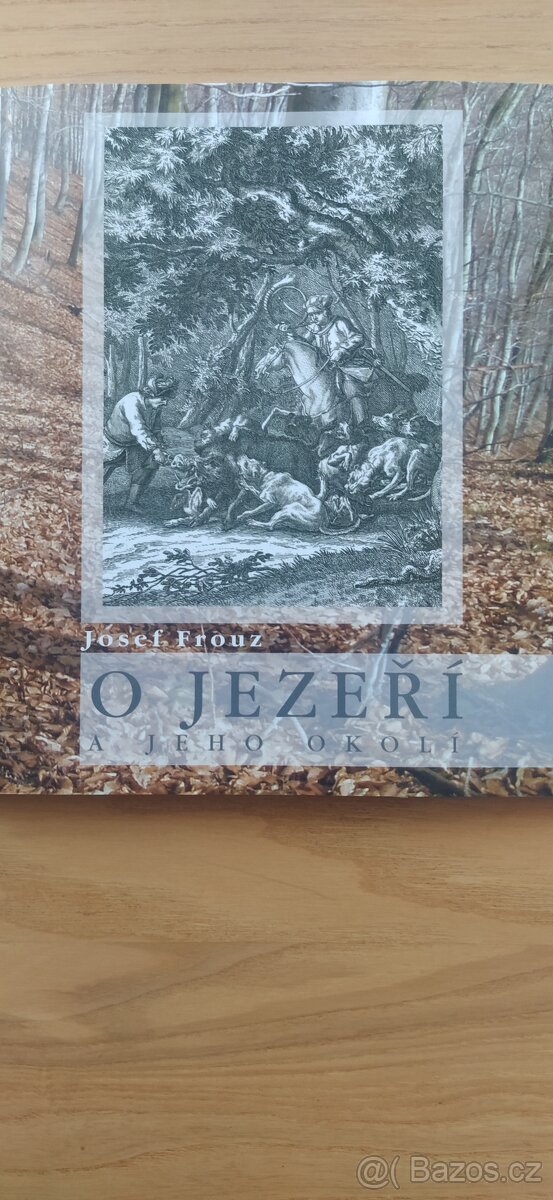 O Jezeří a jeho okolí