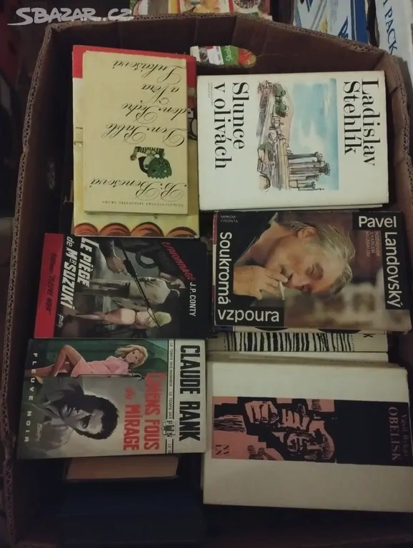 Různé knihy - celá krabice č. 4