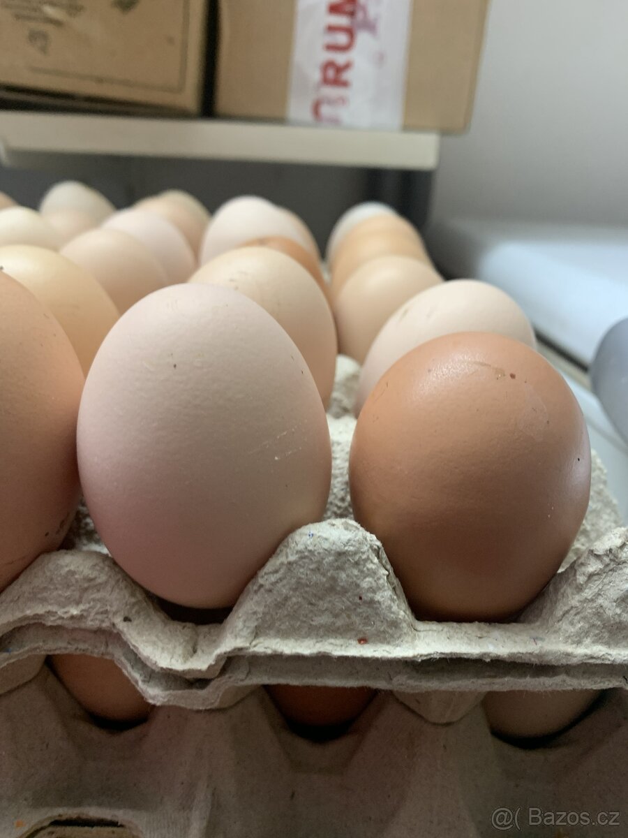 Domácí vejce