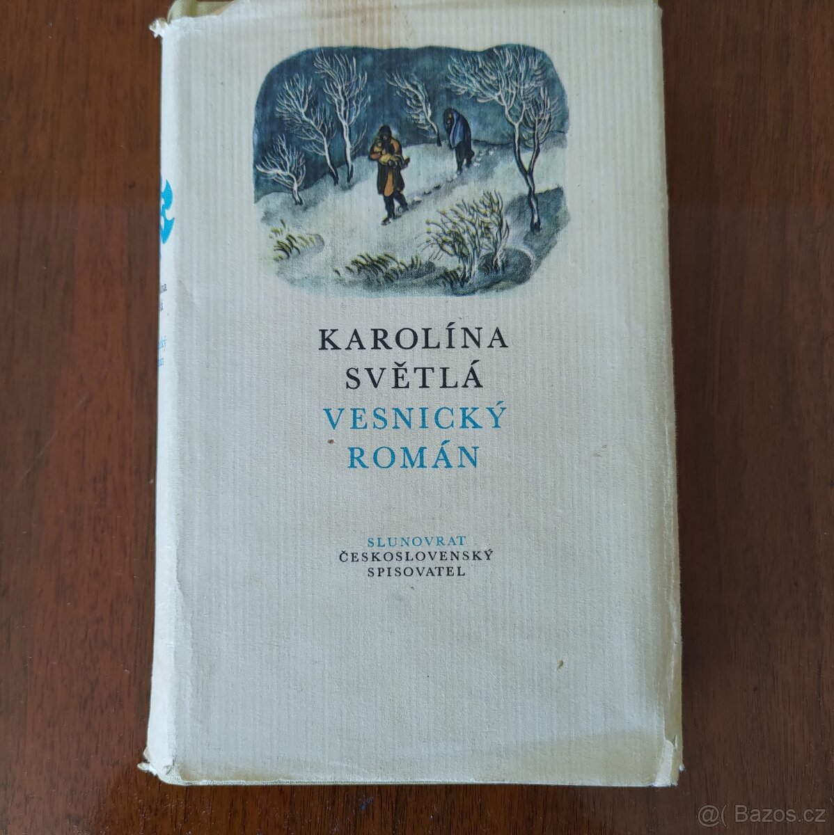 Karolína Světlá, Vesnický román