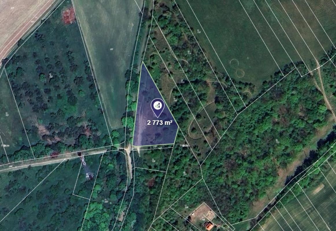 Prodej podílu 1/2 louky 1 387 m², Veselíčko