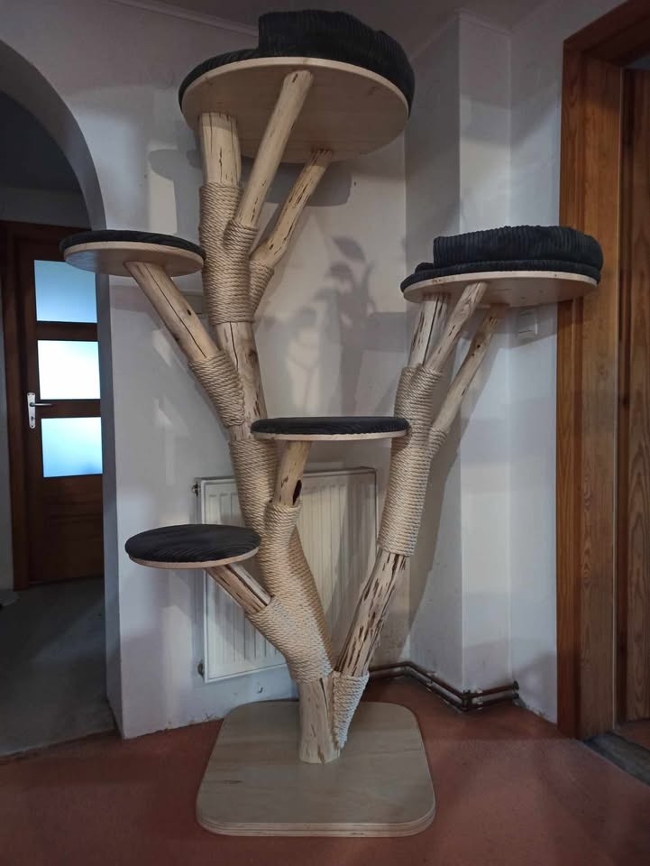 Kočičí strom / škrabadlo pro kočky / kočka