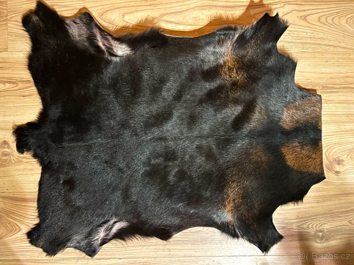 NOVÁ luxusní kozí kůže - kozinka tmavohnědá 85x65