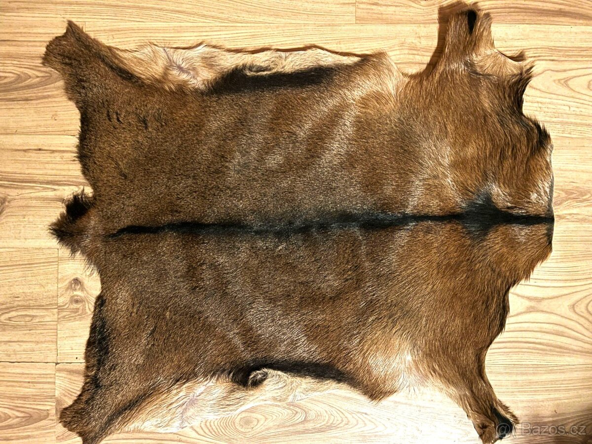 NOVÁ luxusní kozí kůže - kozinka, hnědá 80x70
