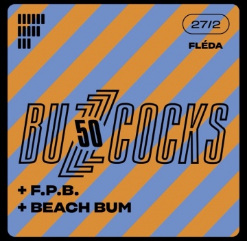 Vstupenka na koncert Buzzcocks Brno