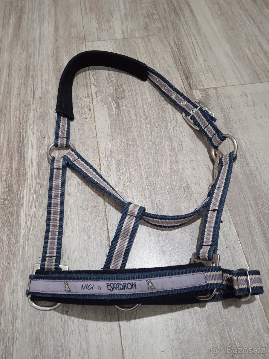 Ohlavka eskadron nici violet