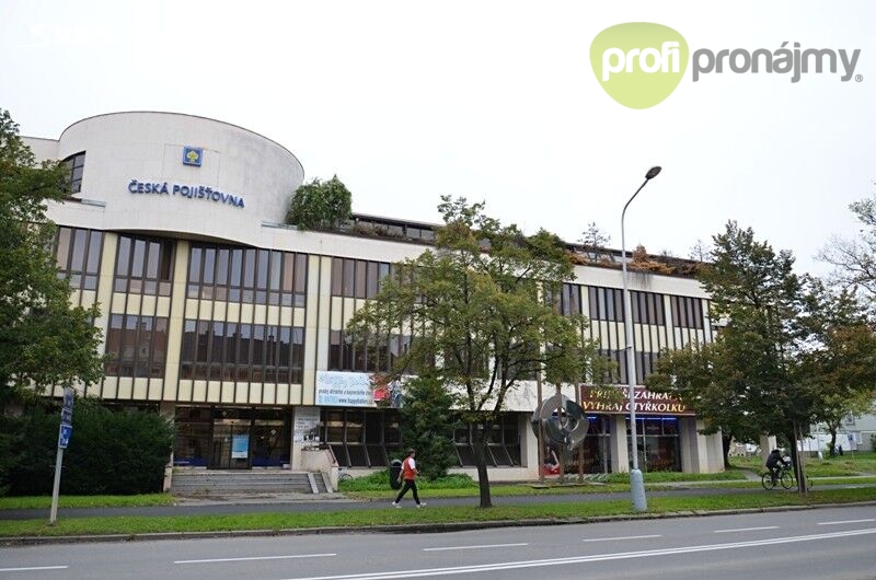 Pronájem obchodního prostoru 175 m²