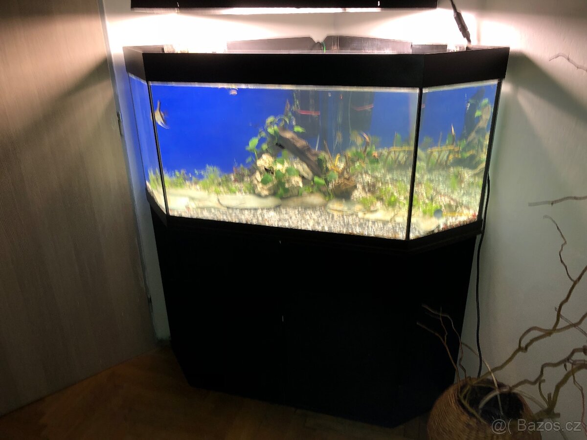 Akvárium komplet rohové
