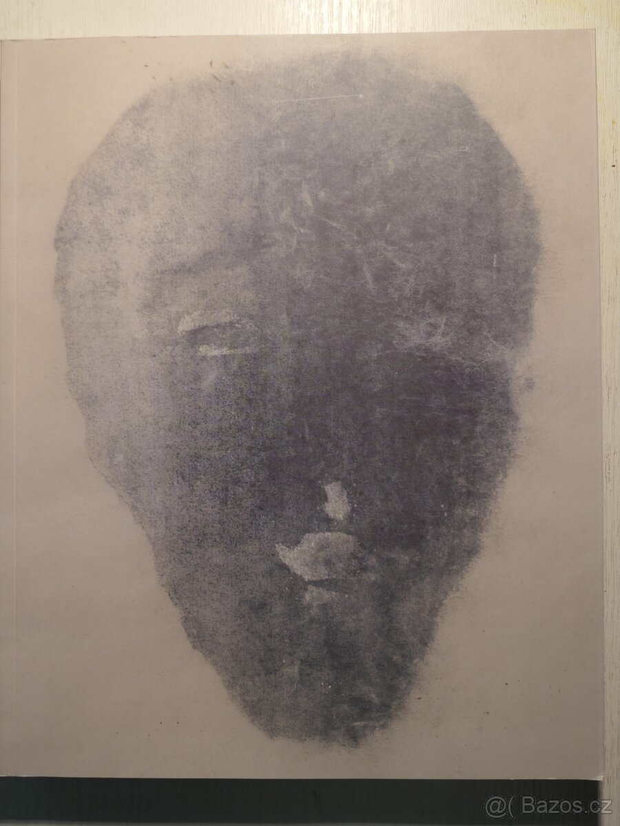 Adriena Šimotová - Tvář / Face