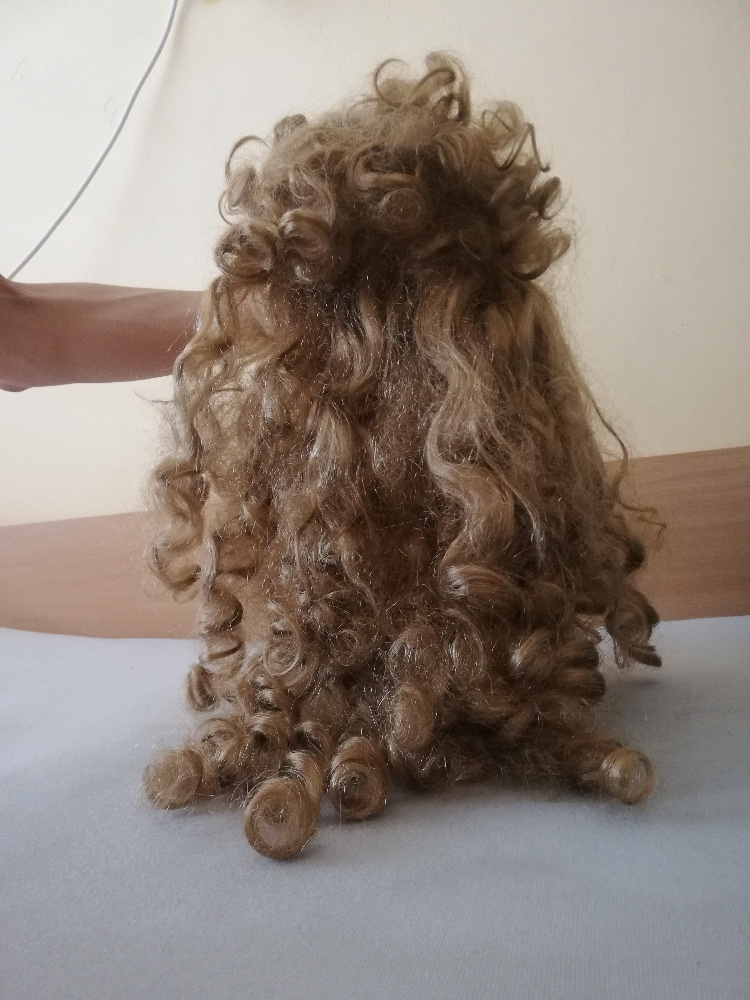 Prodám dětskou paruku.