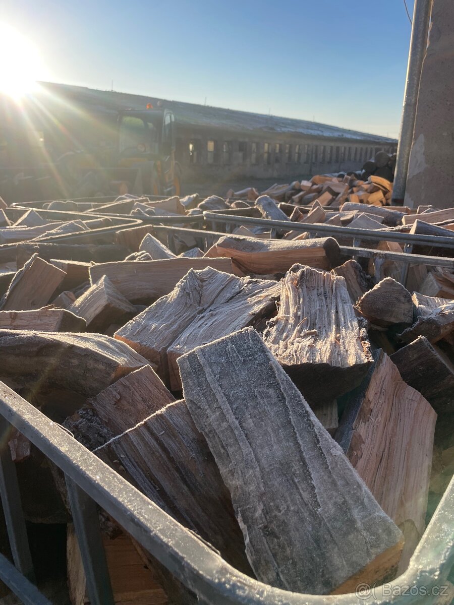 Palivové dřevo za 1 550 Kč / m3