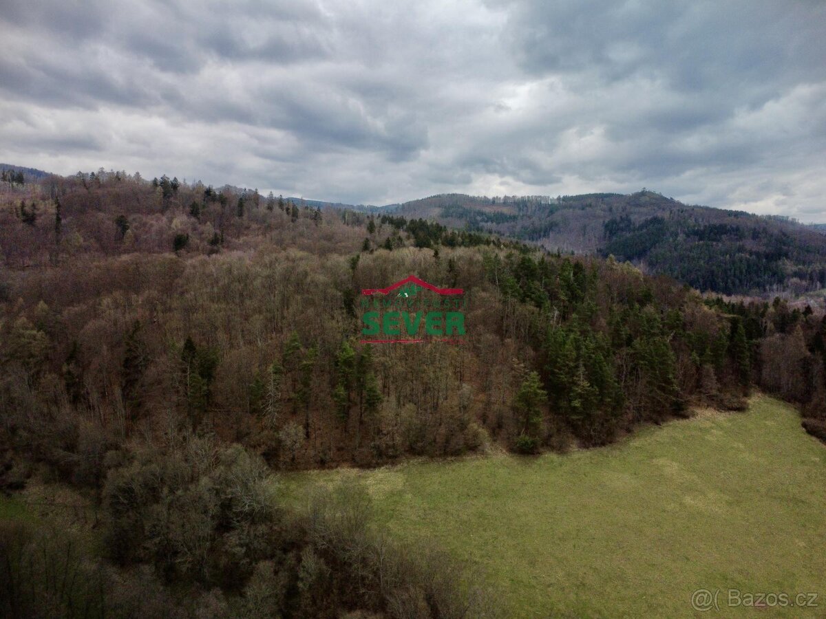 Prodej, lesní pozemek, OV, Boč, Stráž nad Ohří