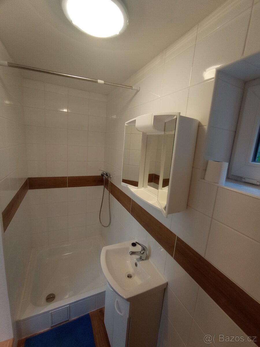 BEZ PROVIZE RK Atelier se zahrádkou 1kk 22m2 + 10m2 Michle