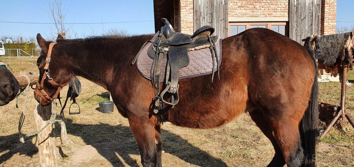 dětské westernové sedlo