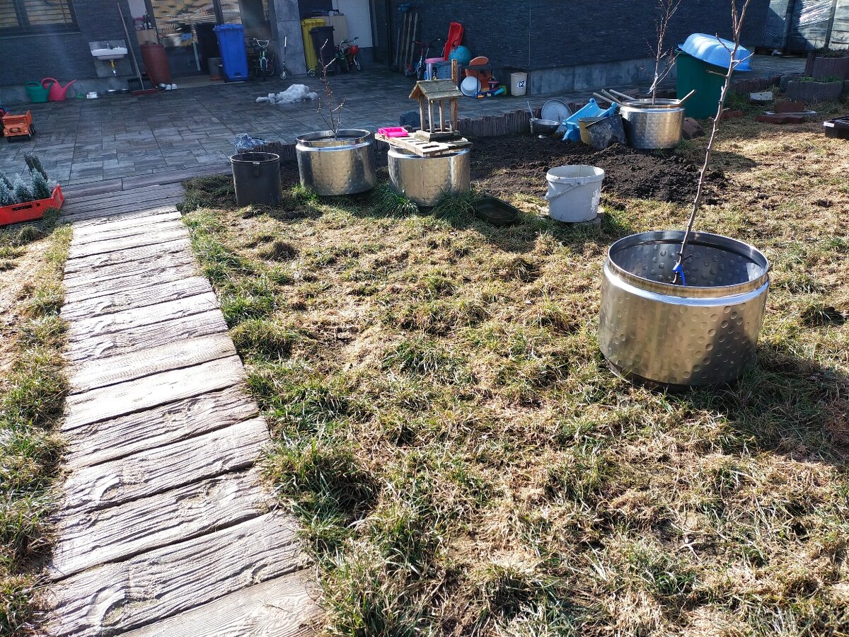 PRODAM VELKY NEREZ BUBEN ZE SUSICKY---15KS --