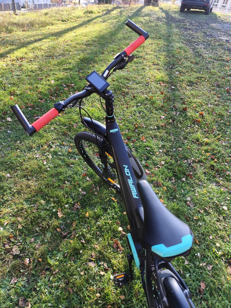 Elektrokolo Leader Fox