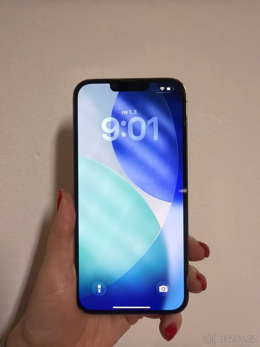 IPhone 13 Pro Max 256 gb