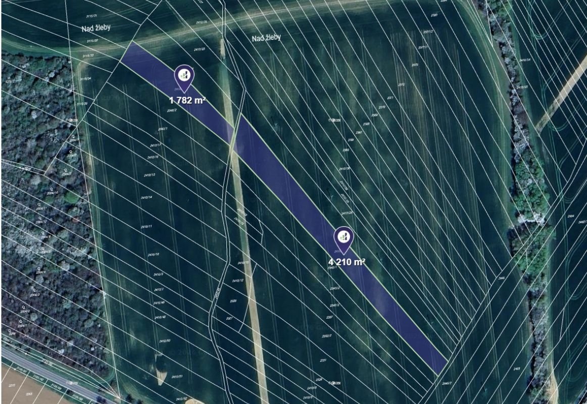 Prodej podílu 1/2 pole 2 996 m², Traplice