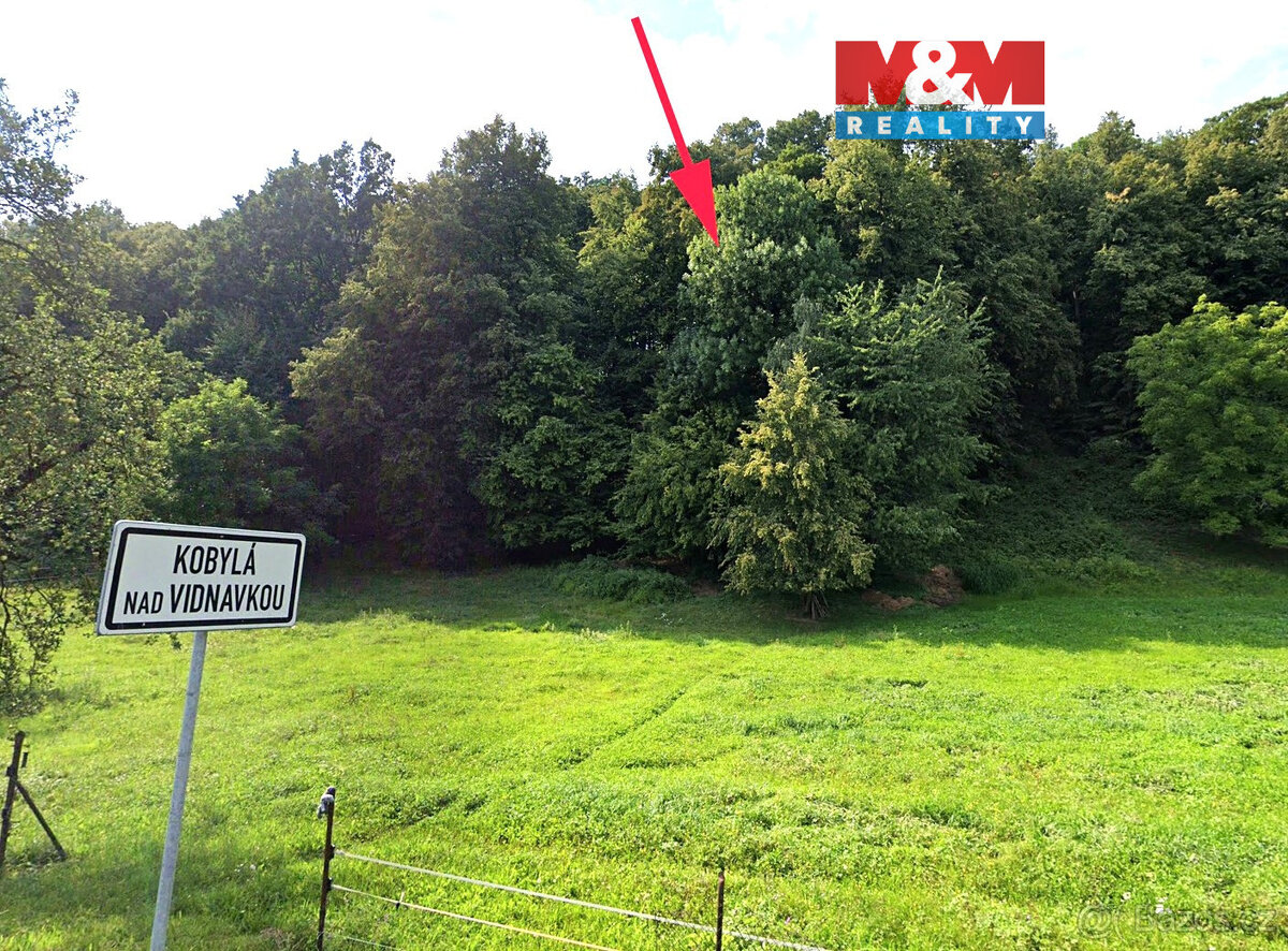 Prodej lesa, 1876 m², Kobylá nad Vidnavkou