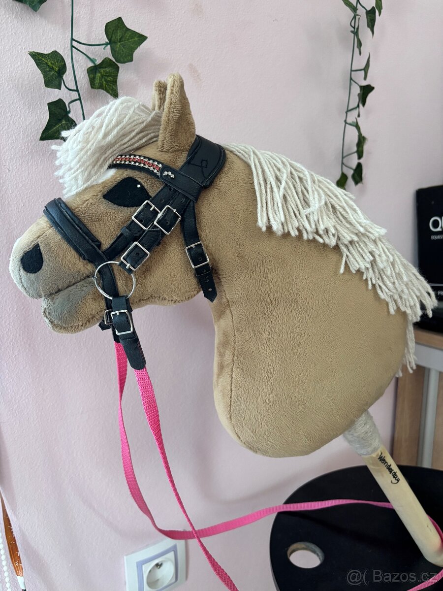 Hobby horse