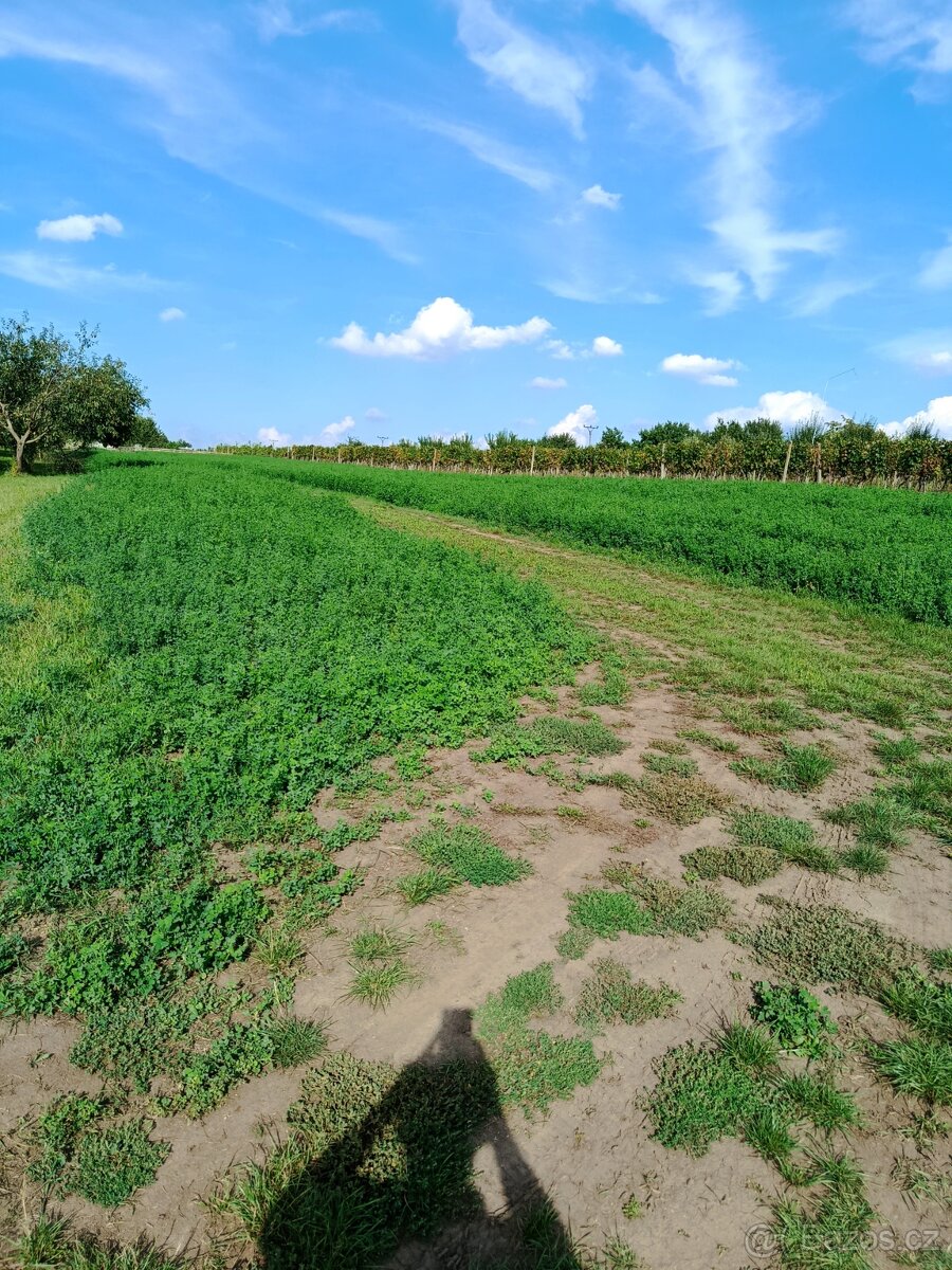 Zahrada 400 m2