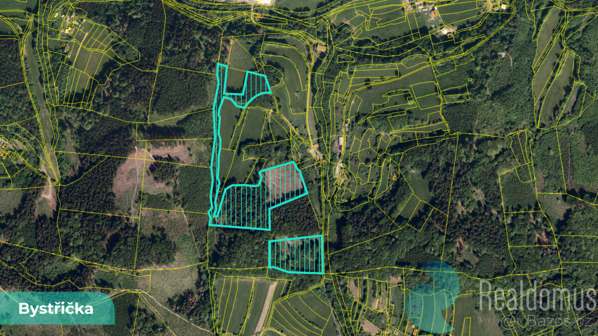 Prodej, les, Bystřička II, LV 1062, 4/10