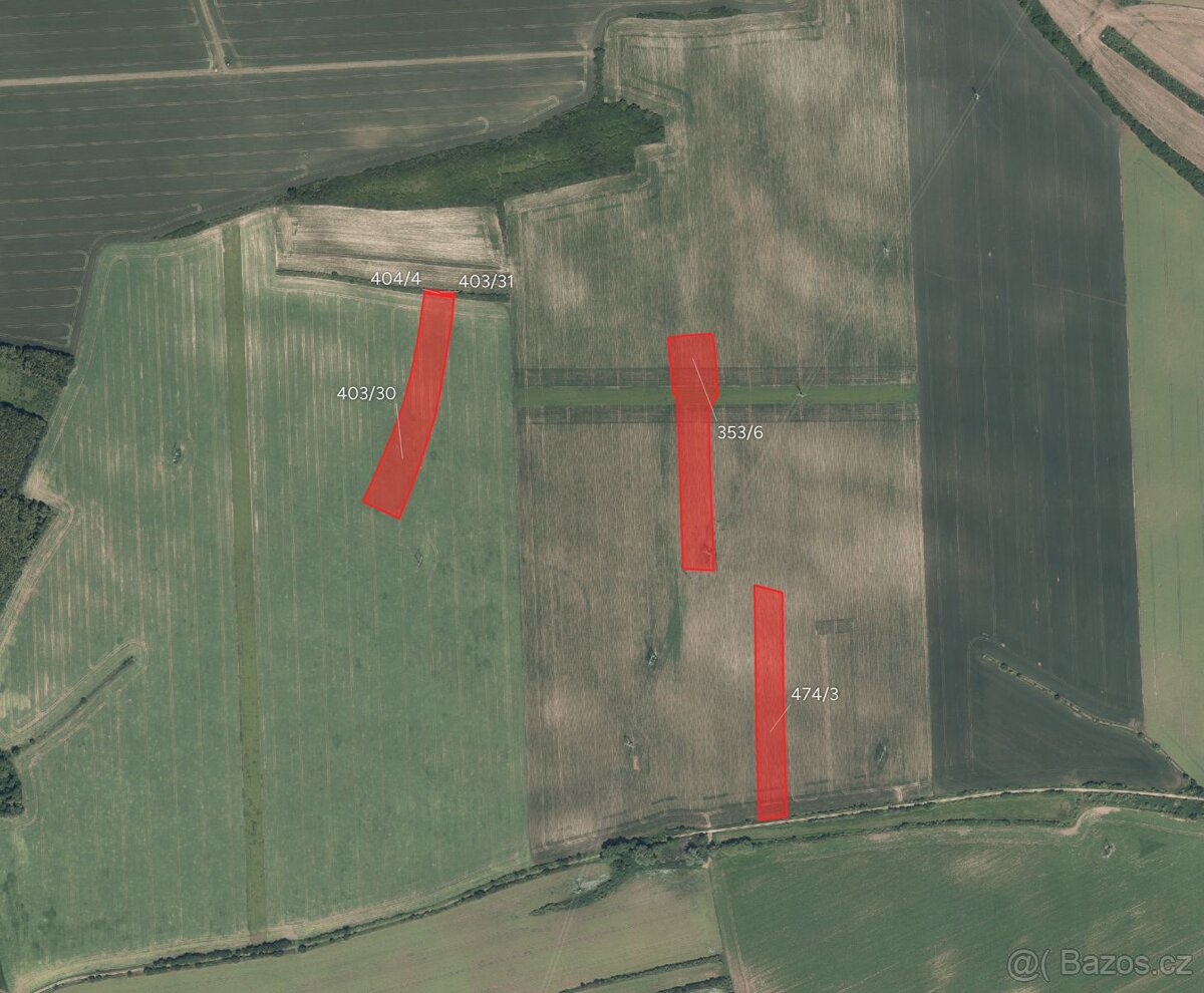 Zemědělská půda, prodej, Klučov, Kolín