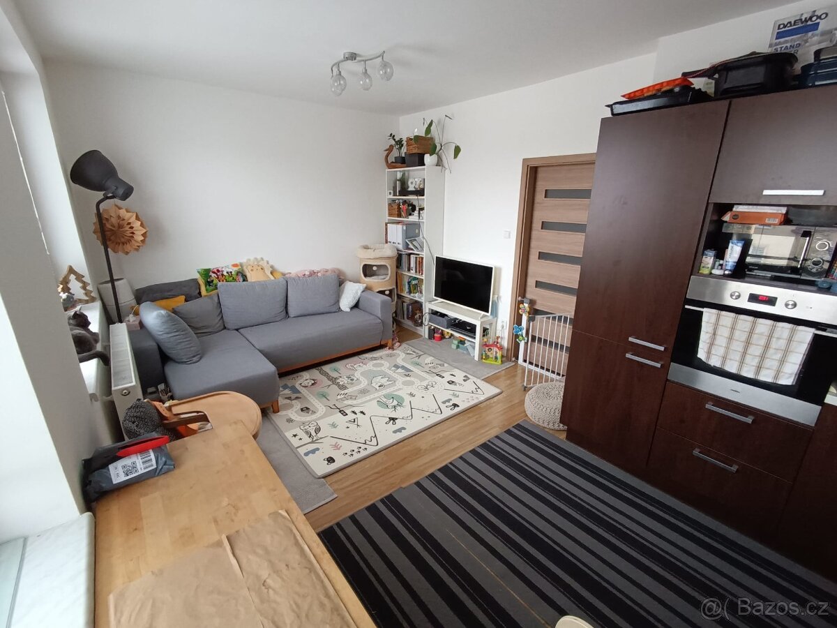 Pronájem bytu 3+kk