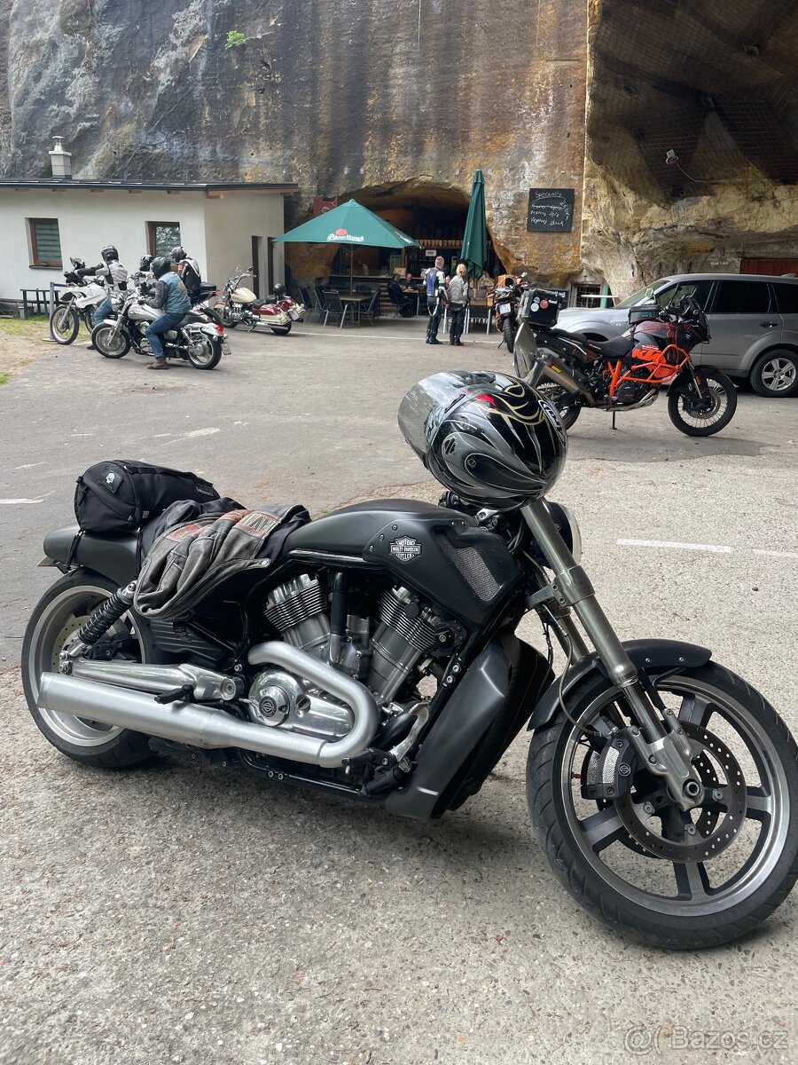 Harley-Davidson V-Rod Muscle (2013)