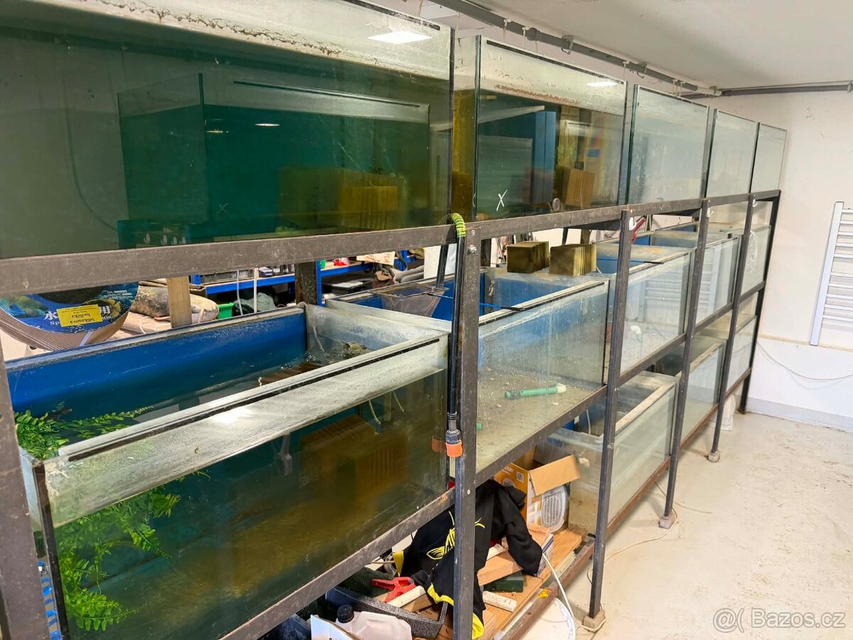 Akvarijní stěna