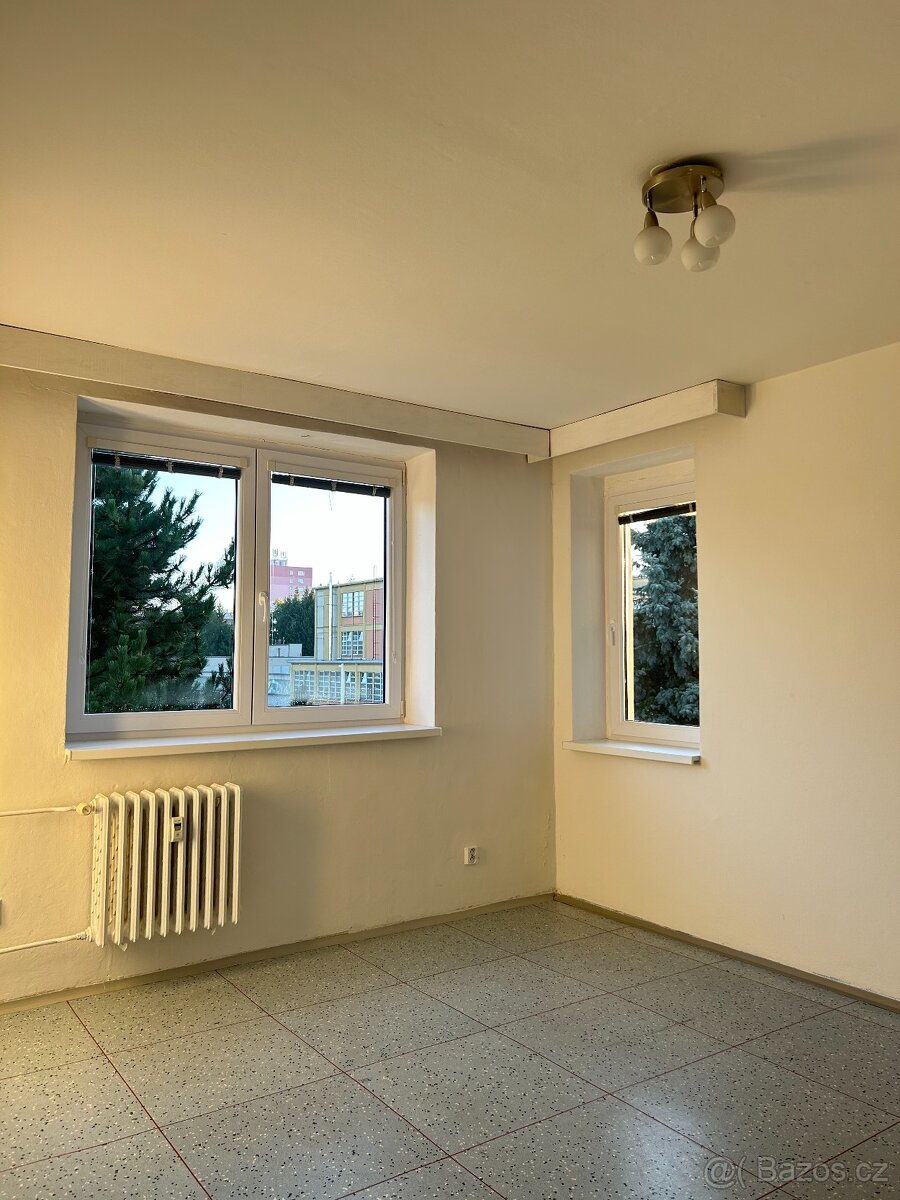 Pronájem bytu 1+1, 34 m² – Riegrova ulice, centrum