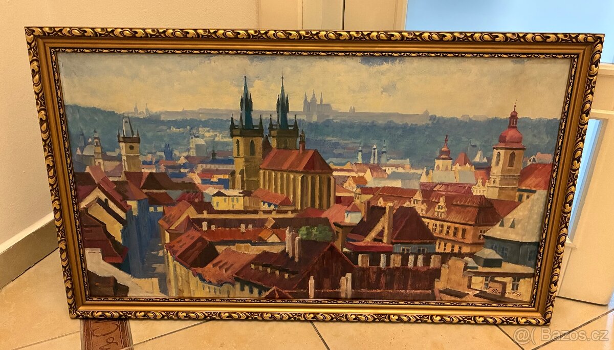 Krásný obraz starý 53 let