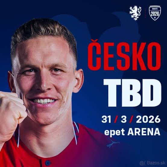 Česko - Dánsko